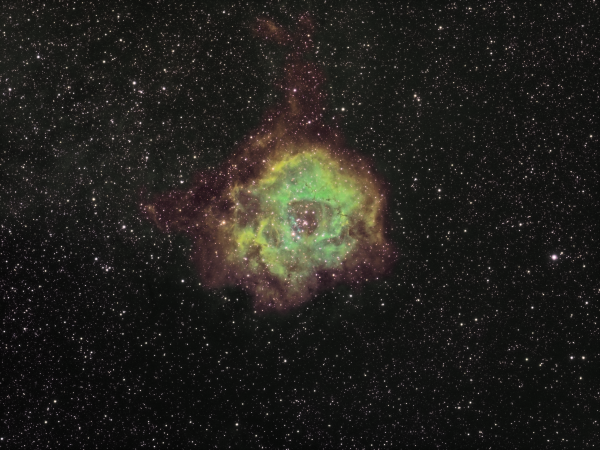 NGC2237/Sh2-275 (Emission Neb.) Rozetta SHO - астрофотография