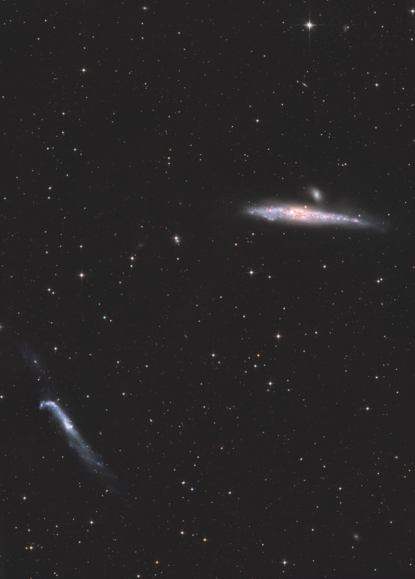 Whale and Hockey Stick - Astrophotography