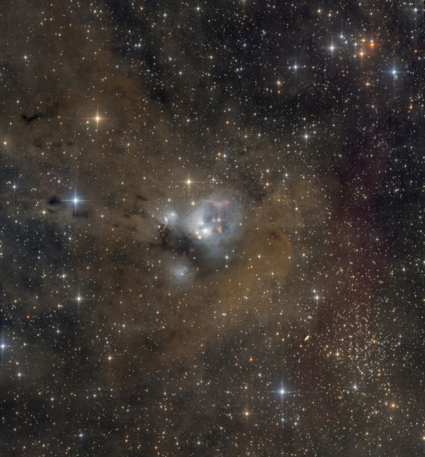NGC 7129 - астрофотография