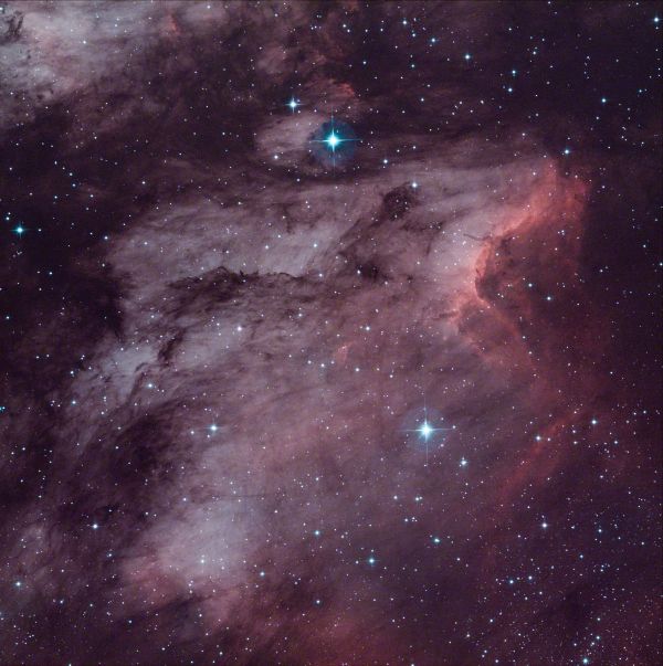 Pelican Nebula - астрофотография