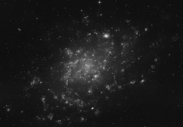 Ha M33 Triangulum Galaxy (Triangulum Galaxy) - Astrophotography