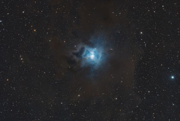 NGC 7023 (Iris) - Astrophotography