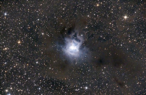 NGC 7023 "Iris" - астрофотография