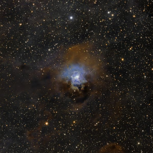 NGC 7023 - Iris Nebula - Astrophotography