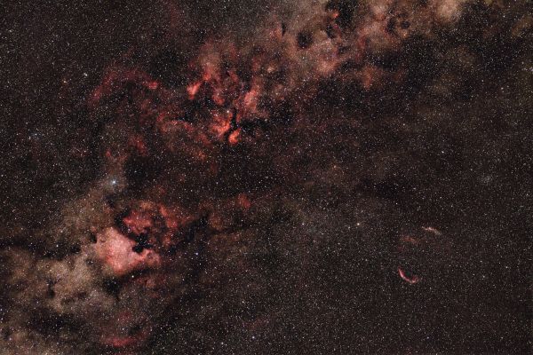 Cygnis - Astrophotography