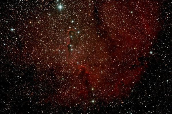 IC 1396 - Elephant’s Trunk Nebula - Astrophotography