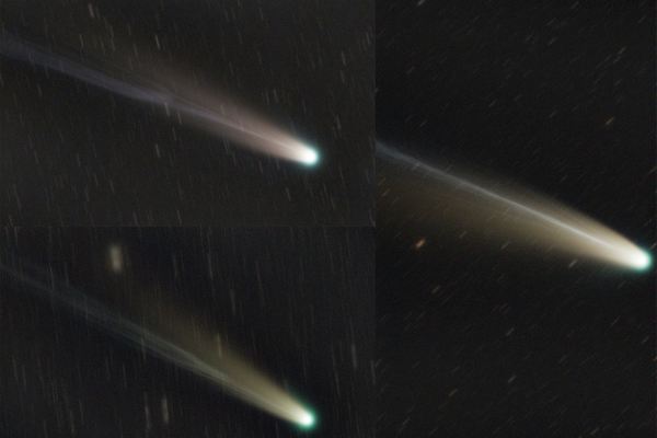 C2025 A6 Lemmon - Astrophotography