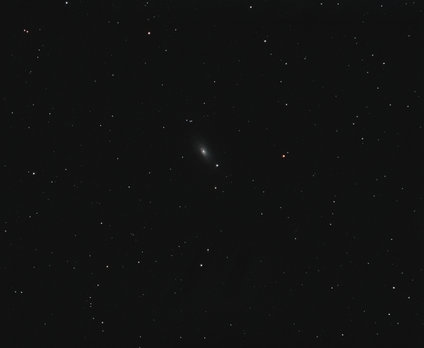 Галактика подсолнух (m 63) - астрофотография