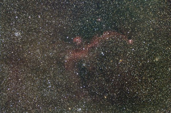 The Seagull Nebula IC 2177 and its surroundings - Astrophotography