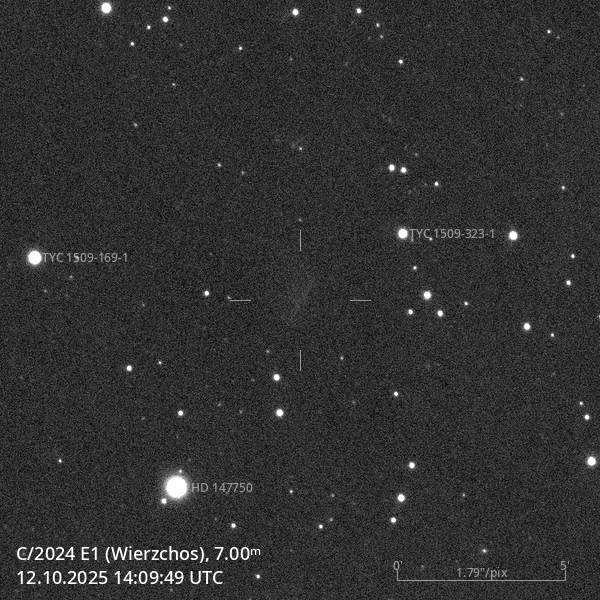 C/2024 E1 (Wierzchos) - Astrophotography