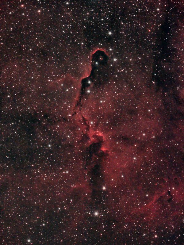 IC1396 Хобот слона - астрофотография