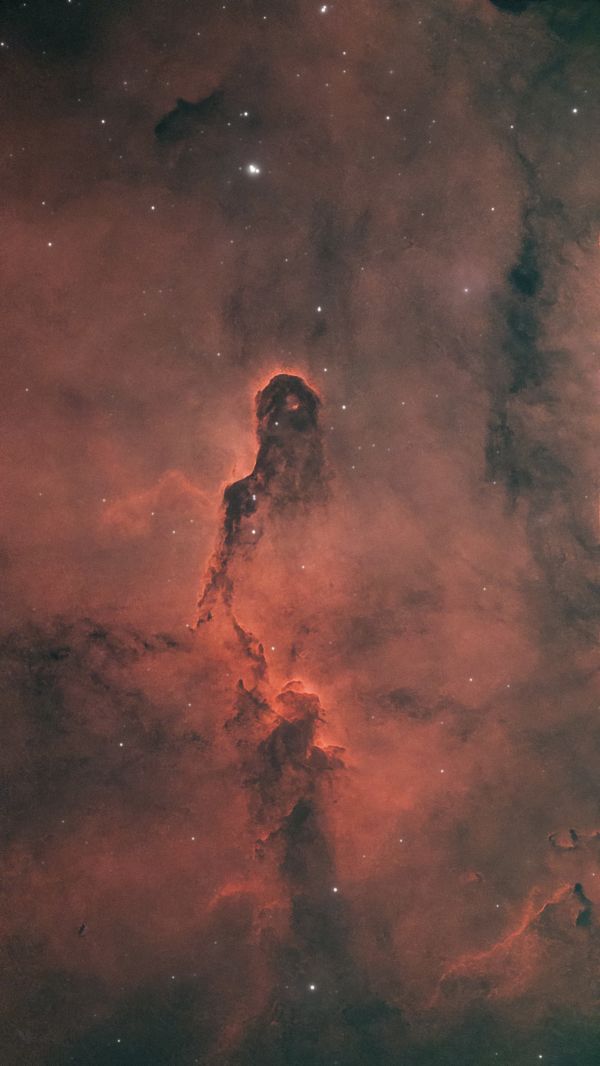 IC 1396 26.09.2025 - астрофотография