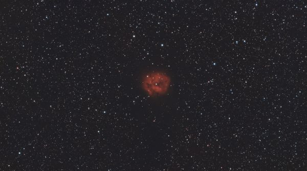 Caldwell 19 Cocoon - Astrophotography