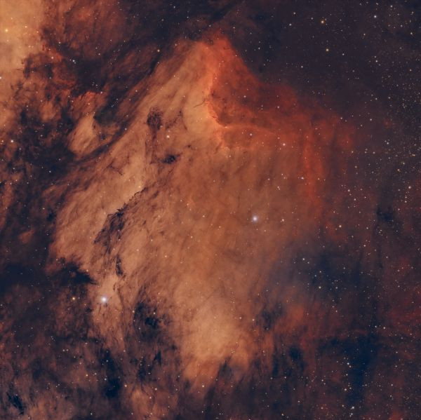 IC5080 Pelican, RASA 8", 3.5 hrs - Astrophotography