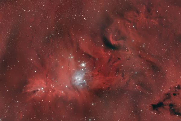 NGC 2264 Tумaннocть Koнуc и Рождественская Елка - астрофотография