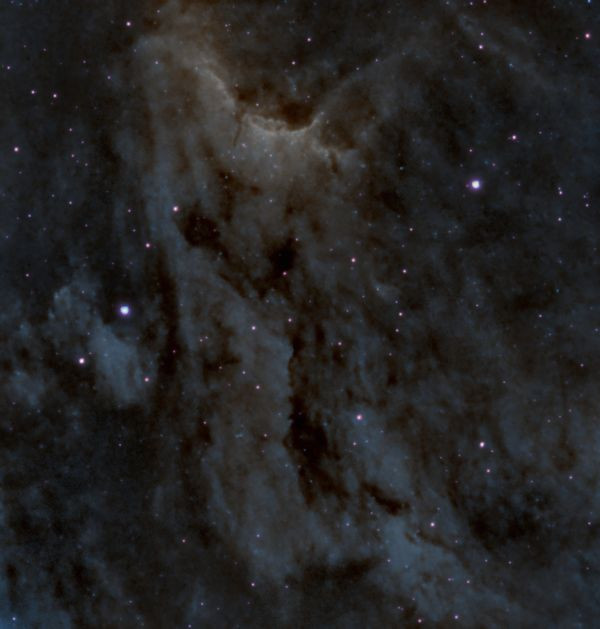 IC 5070 Pterodactyl (or Pelican) - Astrophotography