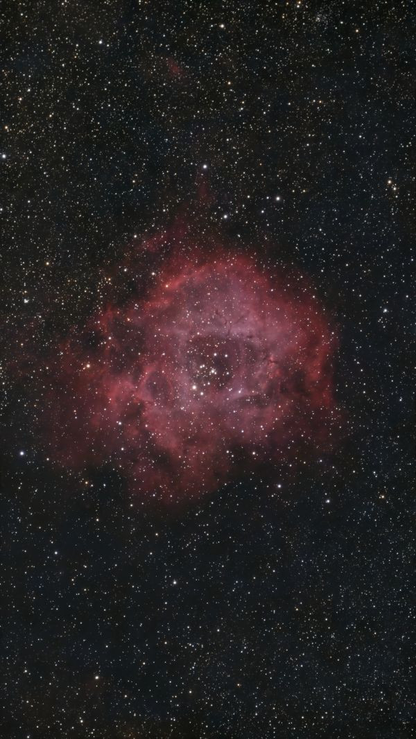 NGC 2237  Rosette Nebula - Astrophotography