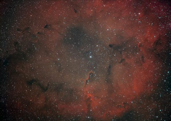 IC-1396. The Elephant Trunk Nebula -Хобот Слона. - астрофотография