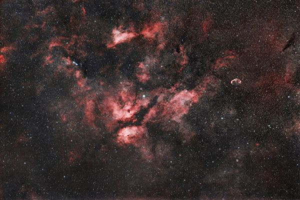 The Sadr region - Astrophotography