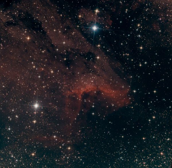 IC 5070 Pelican Nebula - Astrophotography