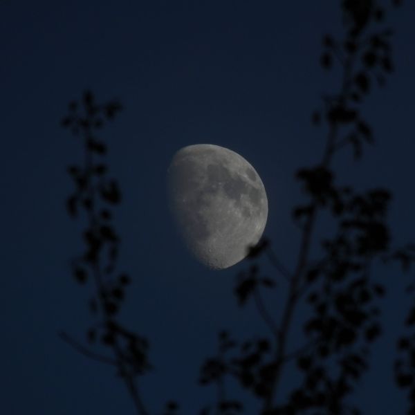 Луна - 77% - астрофотография