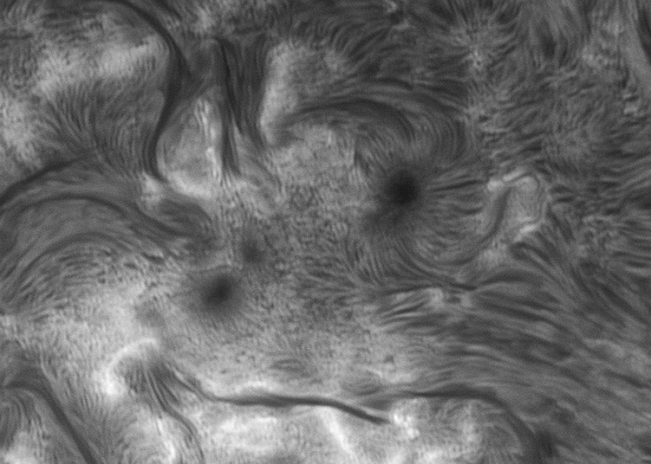 Animation AR4100 for 3 hours on June 2. Crop. - Astrophotography