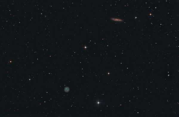 M 97 ("Туманность Сова") и M 108  - астрофотография
