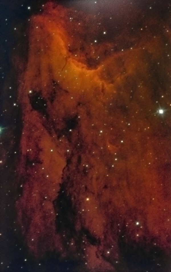 Emission nebula Pelican IC 5070 in the constellation Cygnus. - Astrophotography
