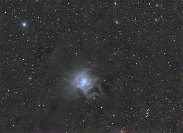 NGC7023 Ирис Цефей - астрофотография