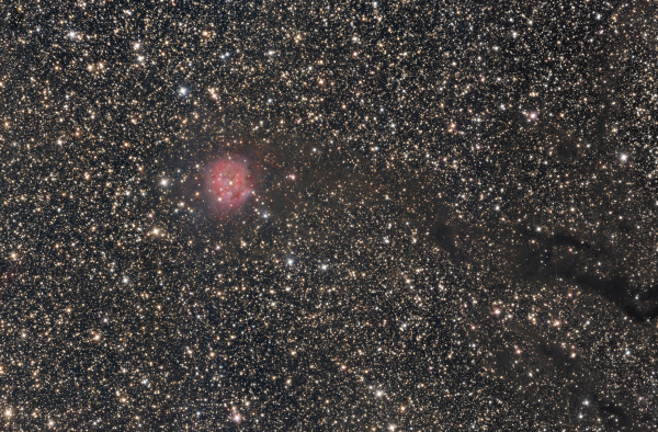 The Cocoon Nebula (IC 5146) - Astrophotography