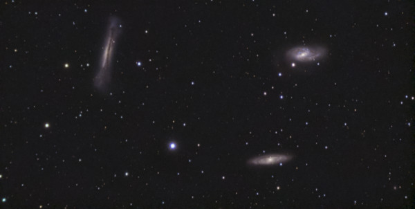 Leo Triplet - Astrophotography