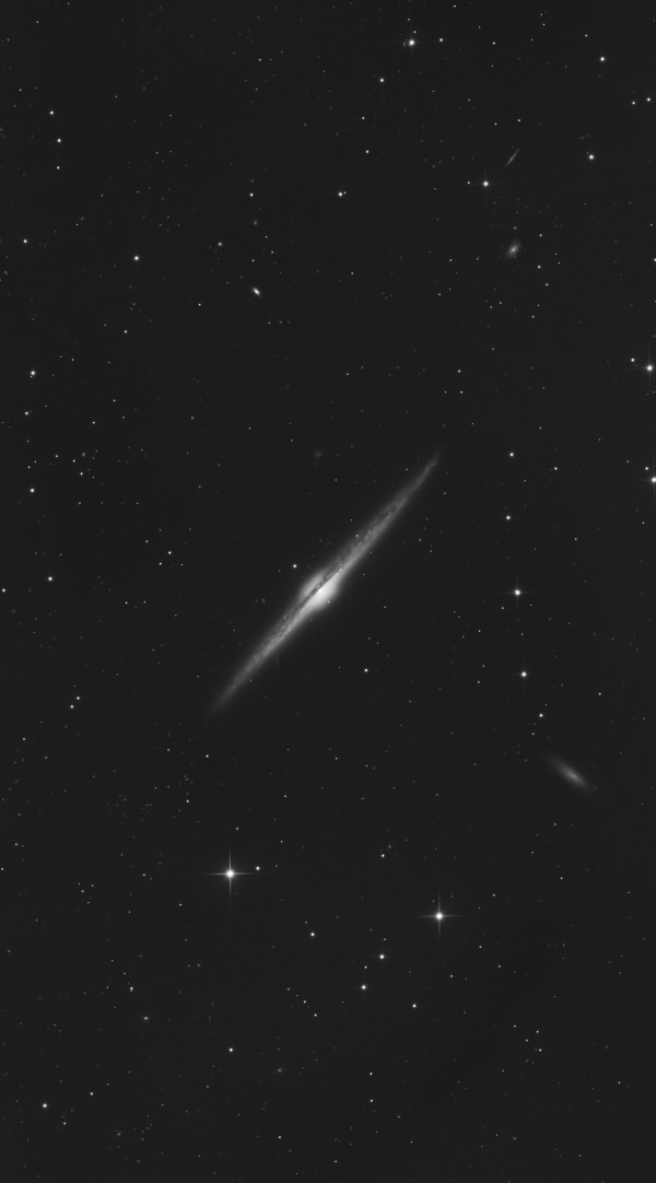 NGC 4565 - Astrophotography