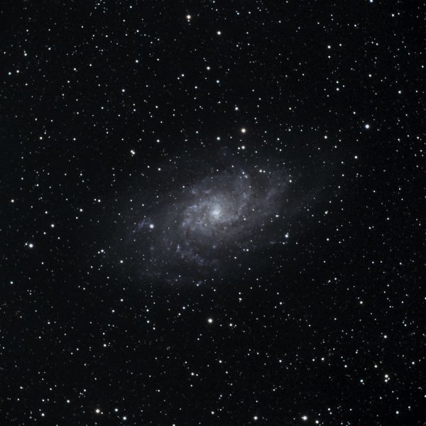 M33 (NGC 598) - астрофотография