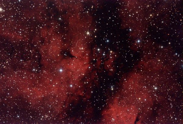 LDN 889 - Dark Nebula - Astrophotography