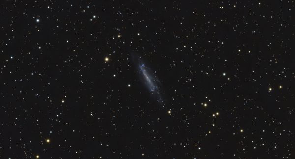 Caldwell 3 - Astrophotography