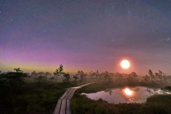 Moonrise 08.2026 - Astrophotography