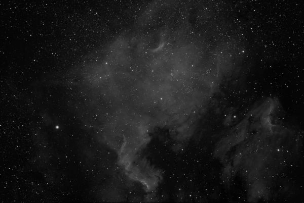 Эмиссионные туманности NGC 7000 Северная Америка  и IC 5070 Пеликан в созвездии Лебедя. ЧБ вариант.  - астрофотография