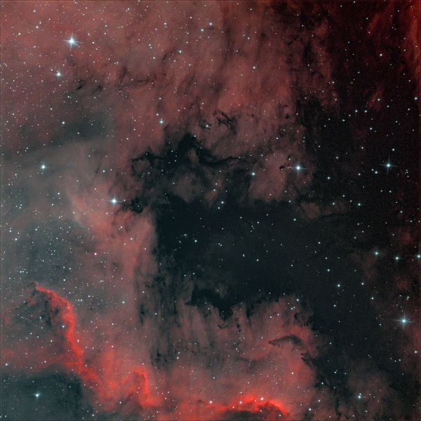 NGC 7000 (LBN 373, туманность Северная Америка) - астрофотография