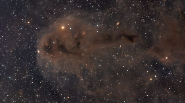 LDN 1251 Rotten Fish - Astrophotography