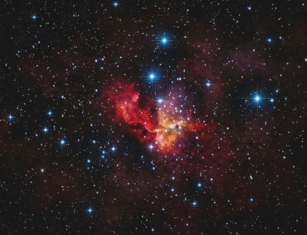 Wizard Nebula - Astrophotography