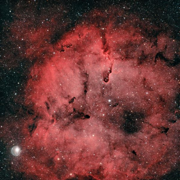 IC1396 Elephant's Trunk - Astrophotography