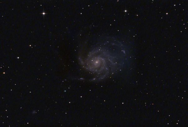 M101 - Галактика "Вертушка" - астрофотография