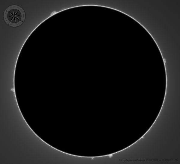 Sun (prominences) 23.03.2026 13:19 UTC+05 - Astrophotography