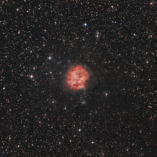 C19 - Cocoon Nebula - астрофотография