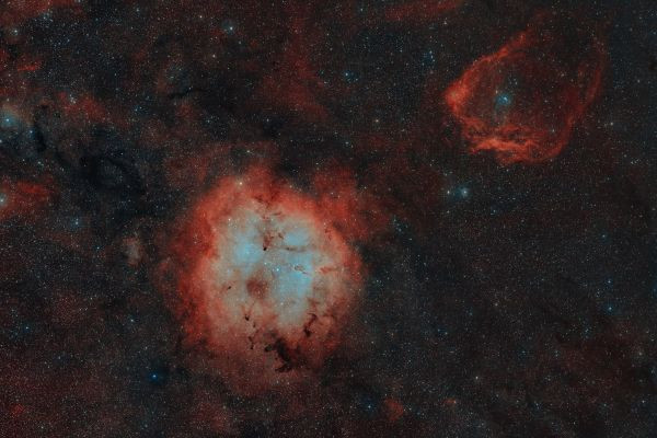 IC1396, Sh2-129 - Elephant's Trunk, Flying Bat, and a bit of Squid (HOO) - Astrophotography