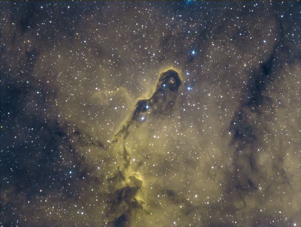 IC 1396, Elephant Trunk nebula - астрофотография