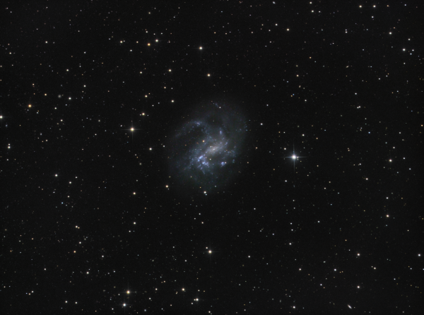 NGC4395/PGC40596 (Galaxy) in CVn LRGB - астрофотография