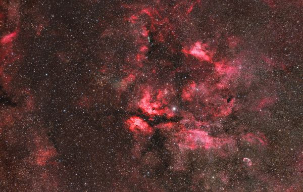 A complex of hydrogen nebulae in the vicinity of Sadr. - Astrophotography