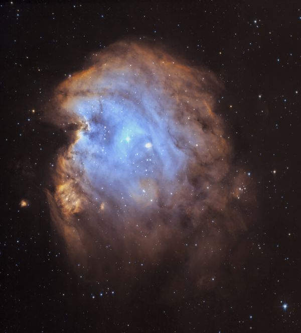 Monkey Head - Astrophotography