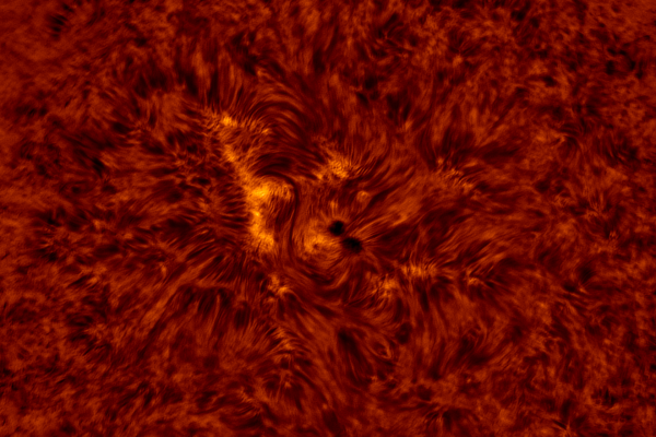 2020.08.10 Sun AR12770 H-Alpha (color) - астрофотография